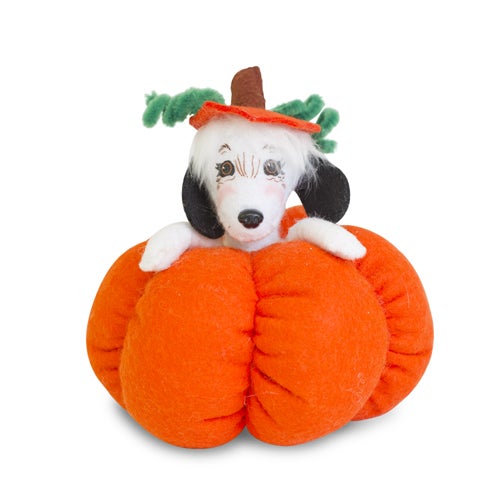 Puppy in Pumpkin