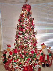 Photo Contest - Best Tree Runner Up 2018