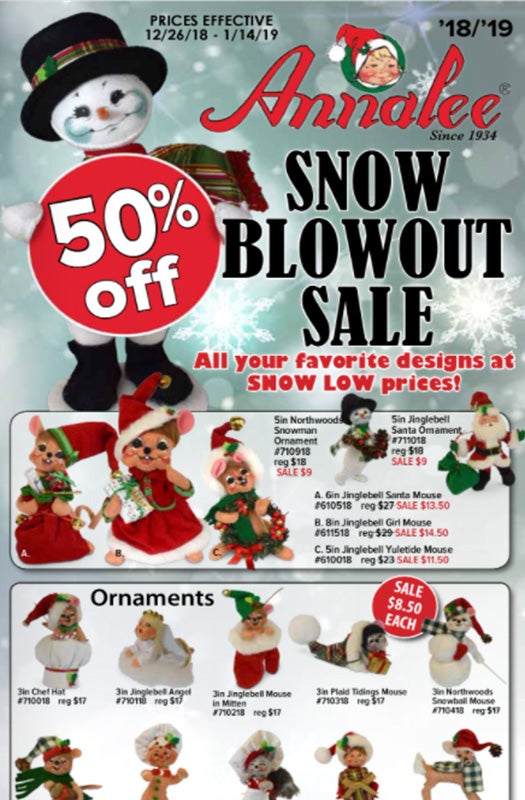 2018-19 Snow Blowout