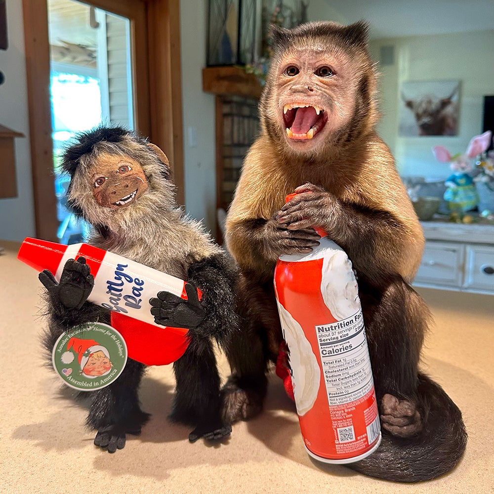 Gaitlyn Rae with exclusive doll-2