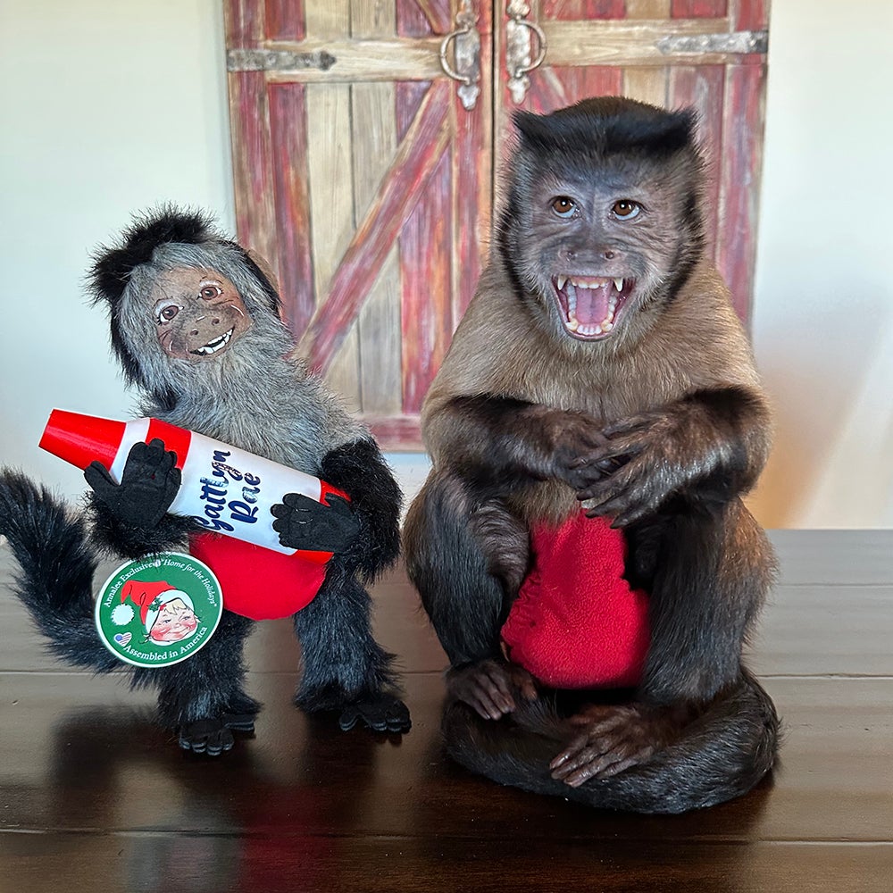 Gaitlyn Rae with exclusive doll Gaitlyn Rae with exclusive doll