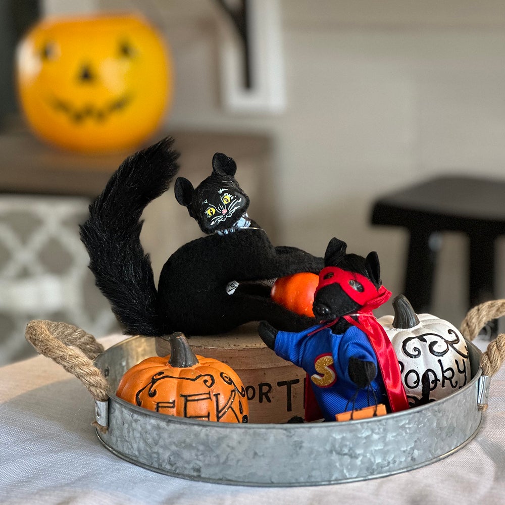 2022 Halloween Cat + Dog-WEB