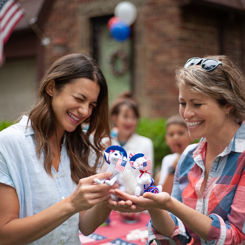 2024 Patriotic Cat & Dog-WEB