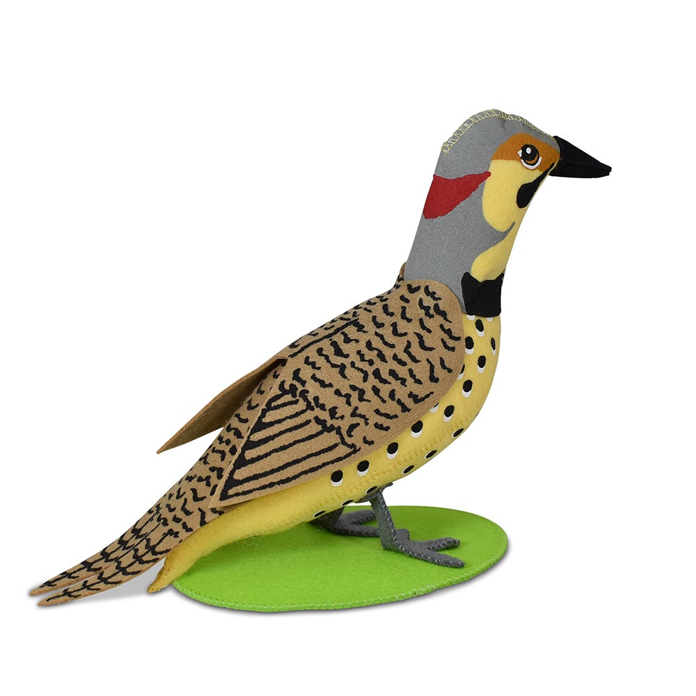 910724 7in Northern Flicker-1-WEB