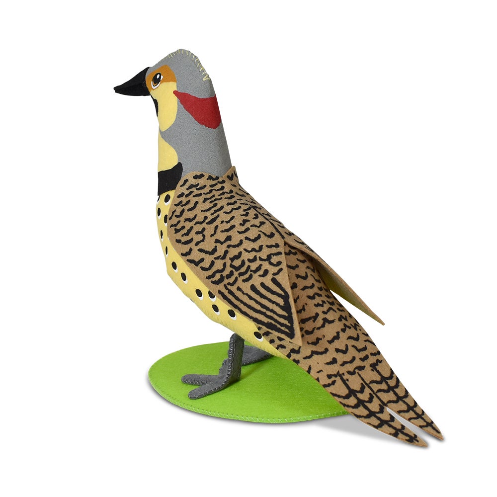 910724 7in Northern Flicker-2-WEB