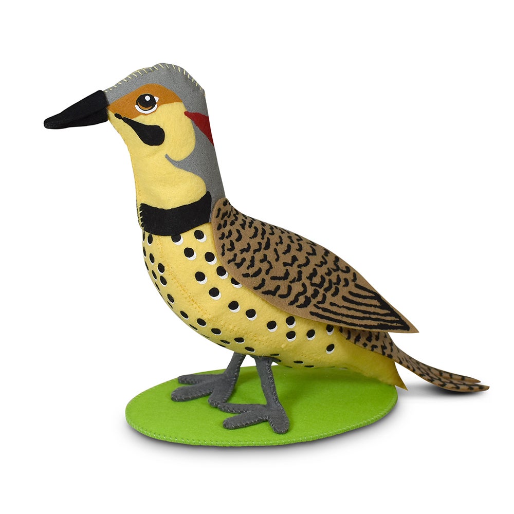 910724 7in Northern Flicker-WEB